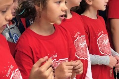 IMG_4911